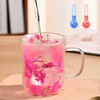 Creative Built-in Dried Flowers High Borosilicate Glass Mug