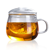 Heat Resistant Glass Tea Cup with Infuser and Handle for Tea 