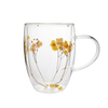Double Wall Glass Coffee Cups With Filling Dried Flowers