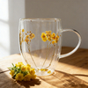 Double Wall Glass Coffee Cups With Filling Dried Flowers