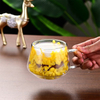 Dry Flowers Double Wall Heat Resistant Borosilicate Glass Mug