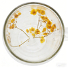 Double Wall Glass Coffee Cups With Filling Dried Flowers