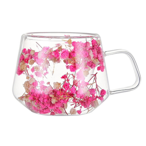 Dry Flowers Double Wall Heat Resistant Borosilicate Glass Mug