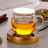 Heat Resistant Glass Tea Cup with Infuser and Handle for Tea 