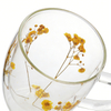 Double Wall Glass Coffee Cups With Filling Dried Flowers