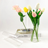 OEM/ODM Various Size Glass Flower Vase for Home Decor