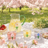 Hand-blown Borosilicate Glass Cup Set with Three-Dimensional Flowers Microwave Safe