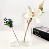 OEM/ODM Various Size Glass Flower Vase for Home Decor
