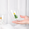 3D Christmas Tree Shaped Transparent Glass Cups Drinking Glasses